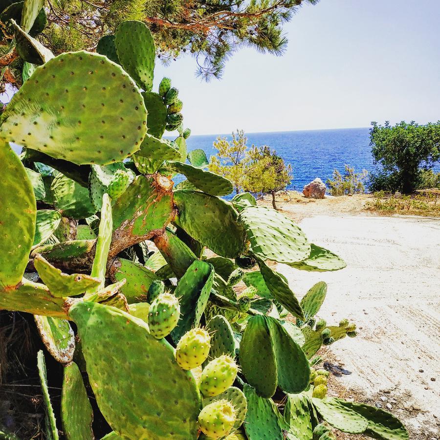 Euphoria - South Crete Villas Achlia エクステリア 写真